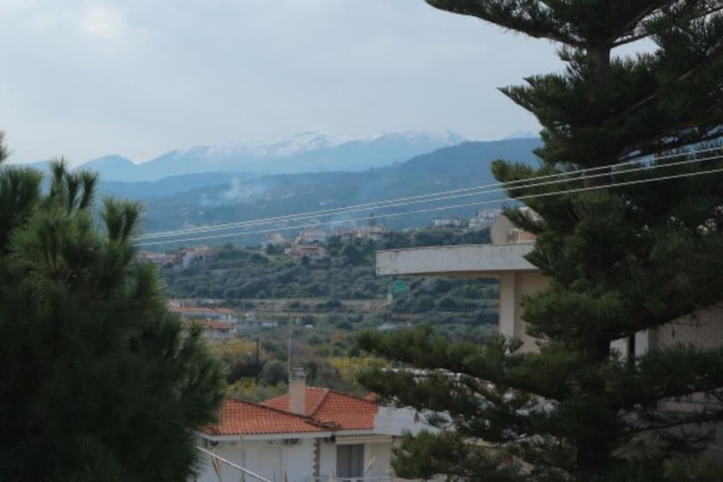 Anestis Apartment Akrata Dış mekan fotoğraf