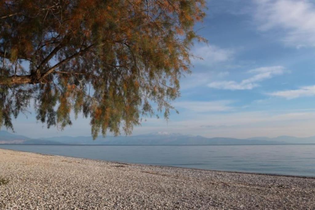 Anestis Apartment Akrata Dış mekan fotoğraf